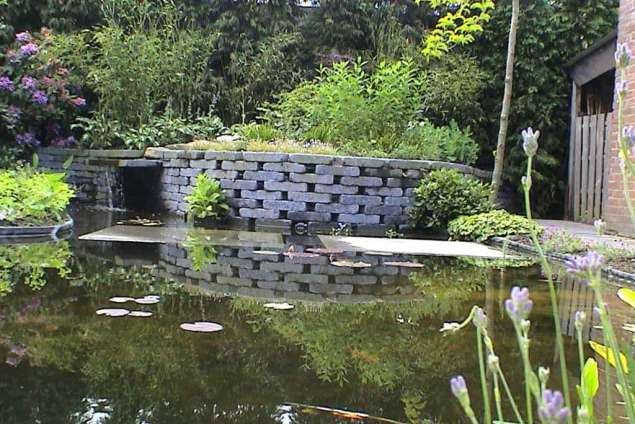 paarse water lelie, fontijnkruid, gedoornd hoornblad ,waterplanten, goudwindes ,hovenier betaalbaar tilburg breda eindhoven den bosch