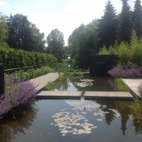 images/olpen/1 strakke moderne vijver met rvs water element brievenbus. heldere vijver tilburg-200x200-b1c