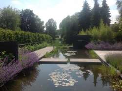 strak tuinontwerp met heldere krachtige lijnen ,tuin laten aanleggen, maak eerst een goed tuinontwerp de gehele tuin is door vakmannen aangelegd Tilburg regio Brabant  Breda Eindhoven Veldhoven