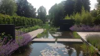 strakke moderen vijver bij een landhuis in de blaak, in de vijver staan waterplanten zoals snoekkruid waterlelie zwanbloem dotterbloem hovenier tilburg