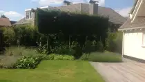 images/olpen/13 dichte haag van leilandii  groene coniferen geen inkijk meer van de buren. tilburg veldhoven Best udenhout den bosch rosmalen goirle-210x119-b2b