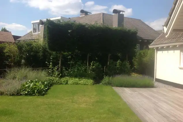 images/olpen/13 dichte haag van leilandii  groene coniferen geen inkijk meer van de buren. tilburg veldhoven Best udenhout den bosch rosmalen goirle-635x424-86c