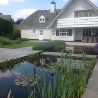 images/olpen/2 strakke vijver bij een witte vila. lavendul zwevende betonplanten in het water. steltonplanten 200x100 antrasiet. tilburg eindhoven waarle vught udenhout-200x200-b1c