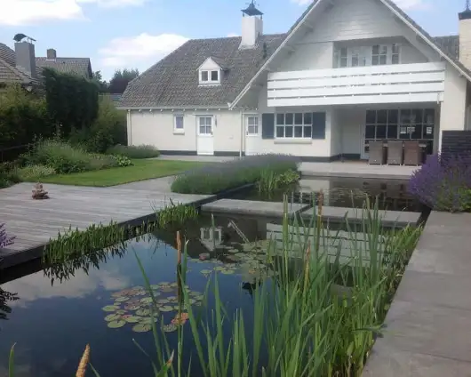 images/olpen/2 strakke vijver bij een witte vila. lavendul zwevende betonplanten in het water. steltonplanten 200x100 antrasiet. tilburg eindhoven waarle vught udenhout-530x424-d9c