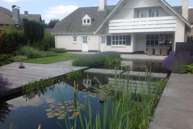 strakke heldere vijver, gemeente Tilburg, waterplanten in een stakke vijver, dotterbloem, snoekkruid, lisdode ,waterlelie  rechte betonplaten 200*100cm, hovenier Tilburg Udenhout Brabant Eindhoven  Eindhoven centrum Stratum Woensel zuid Woensel noord bomen kappen strakke tuinplanten in een strak moderne tuin garden style