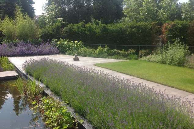 hardhouten terras van bangkari. met lavendel, bamboe en witte annabel, hovenier Tilburg Udenhout Brabant Eindhoven fellenoord de bergen witte dame Eindhoven