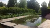 images/olpen/7 strakke moderne tuin met weinig onderhoud. tuinen aan laten leggen in tilburg breda eindhoven waarle geldrop neunen boxtel vught waalwijk-160x90-a6e