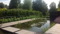 images/olpen/7 strakke moderne tuin met weinig onderhoud. tuinen aan laten leggen in tilburg breda eindhoven waarle geldrop neunen boxtel vught waalwijk-210x119-3f4