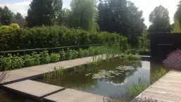 images/olpen/7 strakke moderne tuin met weinig onderhoud. tuinen aan laten leggen in tilburg breda eindhoven waarle geldrop neunen boxtel vught waalwijk-257x145-705