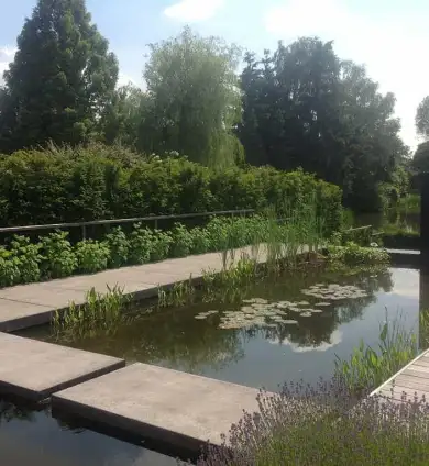 images/olpen/7 strakke moderne tuin met weinig onderhoud. tuinen aan laten leggen in tilburg breda eindhoven waarle geldrop neunen boxtel vught waalwijk-390x424-c95