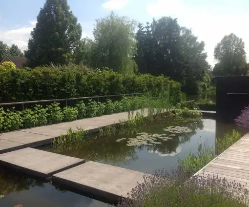 images/olpen/7 strakke moderne tuin met weinig onderhoud. tuinen aan laten leggen in tilburg breda eindhoven waarle geldrop neunen boxtel vught waalwijk-510x424-bf8