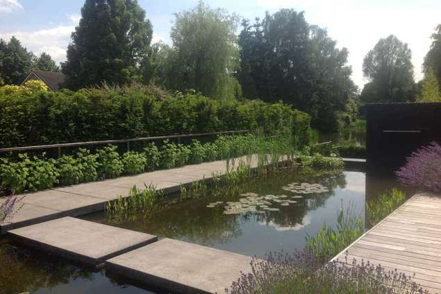 strak tuinontwerp met heldere lijnen in een design tuin in Tilburg strakke tuin bij villa in Tilburg  ontwerpen van tuin, welke planten zie je op de foto lavendel witte annebel liopere kattekruid gele bamboe waterlelie Udenhout Berkel Enschot Vught Waarle Veldhoven Ulvenhout Breda rooien struiken hagen beplanting