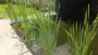 images/olpen/fff-90x51-249