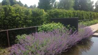 images/olpen/ii-320x180-91c