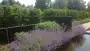 images/olpen/ii-90x51-249