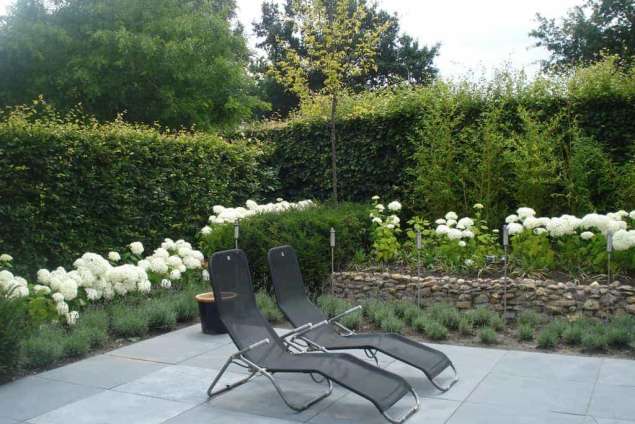 natuursteen 80*80*3 naturel black bruekruw gelegd op stabilastie zand met stabiking. hovenier tilburg udenhout