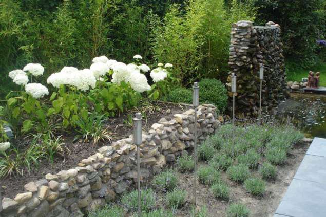 tuinborder met lavendel en witte hortensia, gele bamboe uit 40 liter pot hovenier tilburg udenhout brabant 