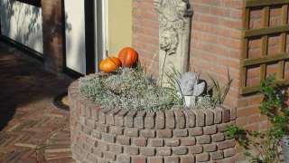 Gebakken klinkers voor een oprit. Deze voortuin ligt in de wijk de blaak <Tilburg>