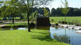 natuurlijke ogende vijver in waspik waalwijk de grasrand loopt over in de vijver. hoveniers