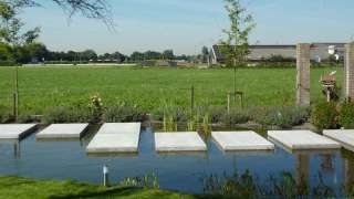 niervormige vijver met waterplanten zoals lisdode zwanenbloem pijlkruid waterlelie hovenier udenhout waalwijk waspik