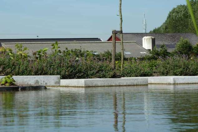 vijver met betonsteen in waspik hovenier tilburg 