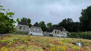 Mogelijkheden om bomen te rooien in Elburg