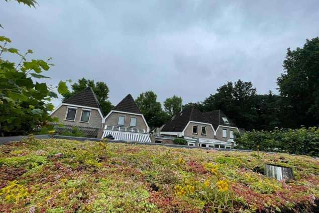 Mogelijkheden om bomen te rooien in Houten