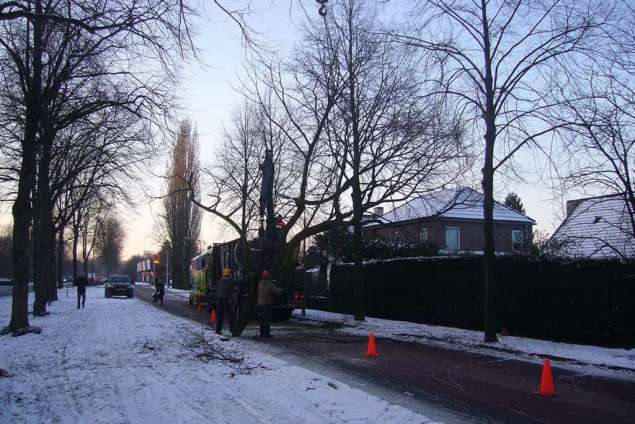 toppen snoeien bomen, betaal snel en vakkundig in de plaatsen Eindhoven Geldrop Helmond Nuenen Drunen Cromvoirt Helvoirt Made Ulvenhout wijk de reeshof