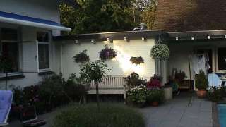 terras van 40*40 tegels met diverse potten met zomergoed