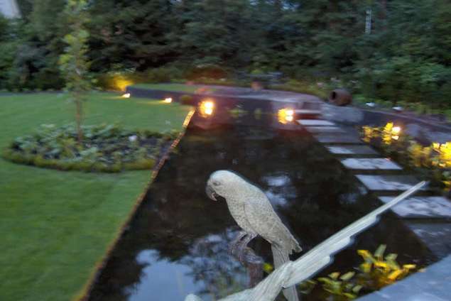 halfronde vijver met stapstenen in het water van 100x100 waterpartiij in vught vogelskerslaan