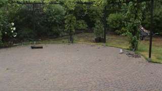 een te groot terras dat zorgt voor een saaie tuin, niet goed bedacht plan hovenier Tilburg Udenhout Breda Eindhoven 