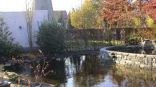 op de achter grond eiken van de gemeente, hovenier tilburg breda dongen udenhout