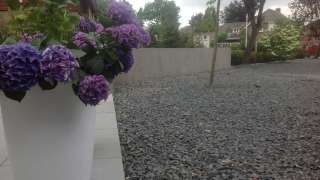 images/valderen/Strakken betonmuren vlinder van beton-320x180-b58