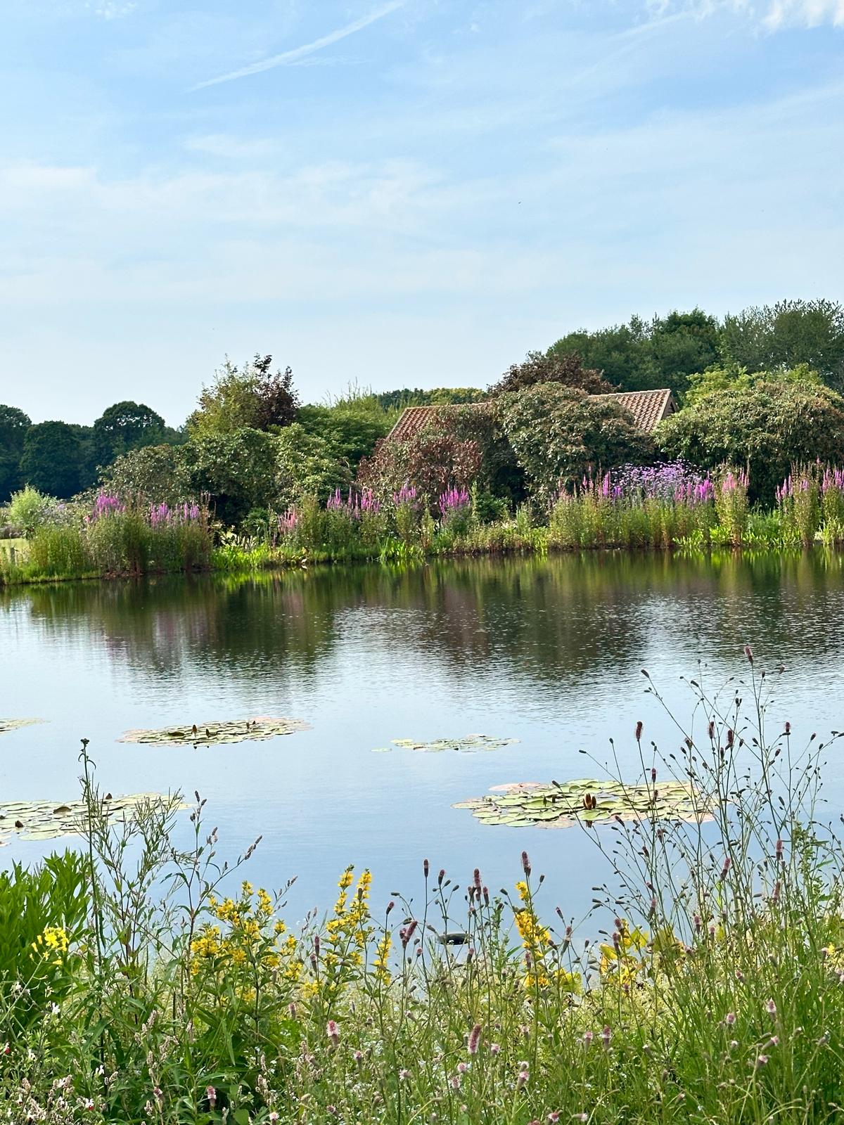 -fotoblog/attachments/24-6-2025-aanleggen-Zwemvijver-met-natuurlijke-beplanting-filterinstallatie-vakman-Wouwse-Plantage~250627162805-1