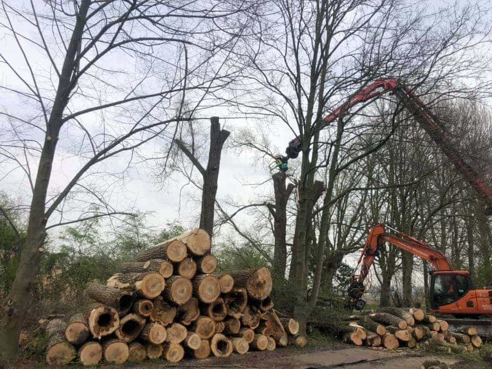 -gemeentes/bomen-verwijderen-07