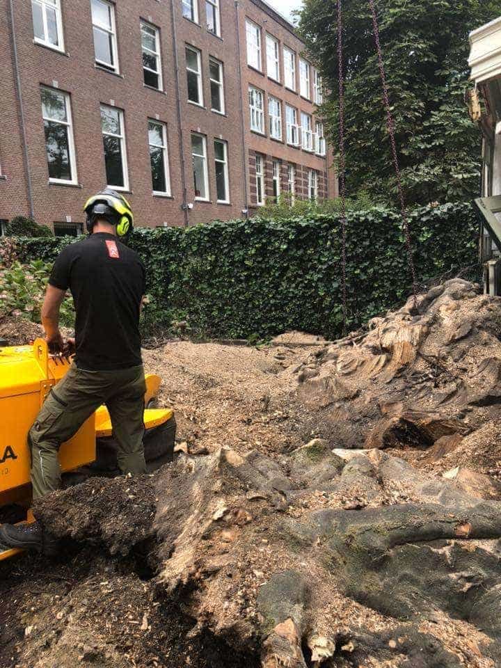 -gemeentes/bomen-verwijderen-11