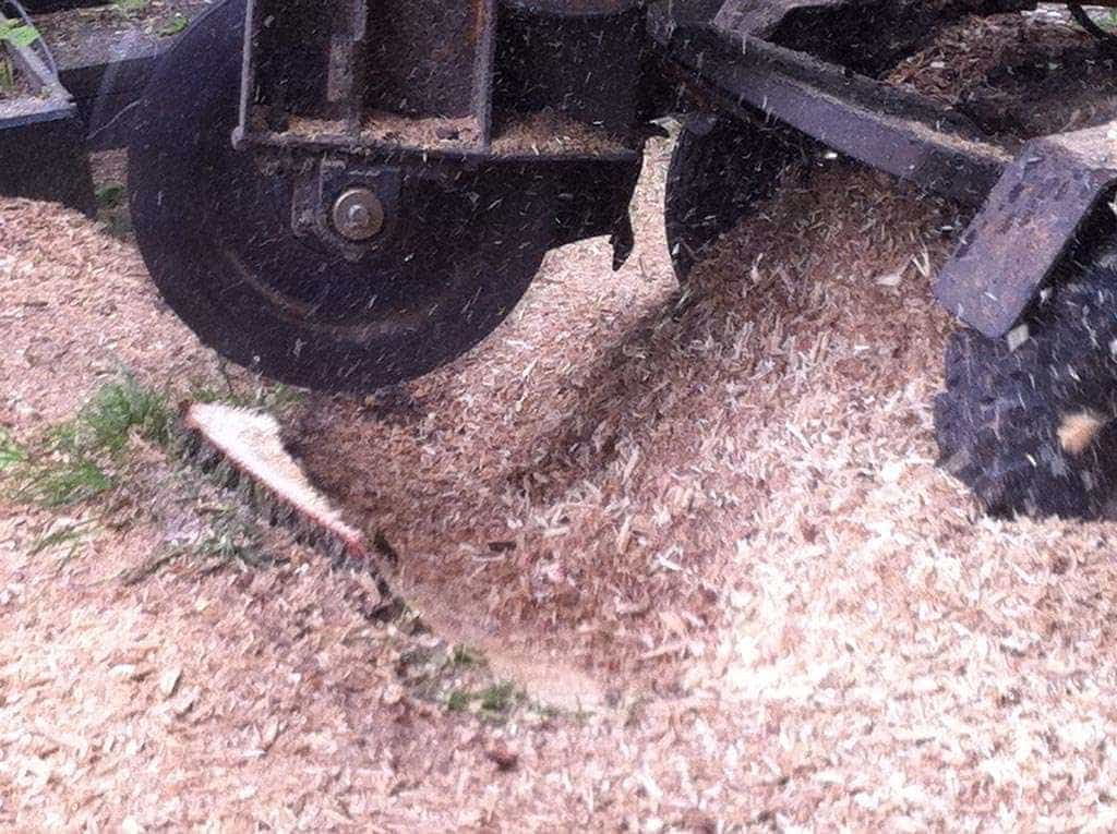 -gemeentes/bomen-verwijderen-12