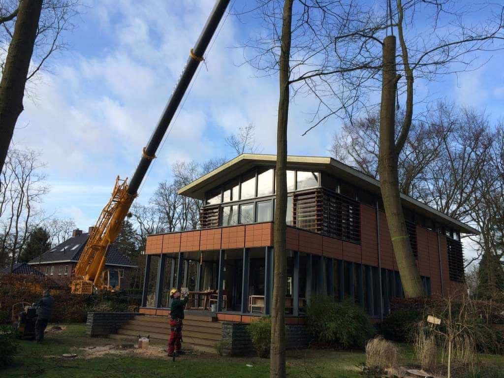 -gemeentes/bomen-verwijderen-16