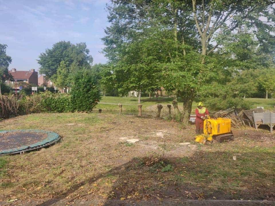 0000nieuws/2020/9-18-bomen-rooien-nieuwegein/nieuwegein-verwijderen-van-bomen-welke-hoveniers-bedrijf-kap-bomen-utrecht