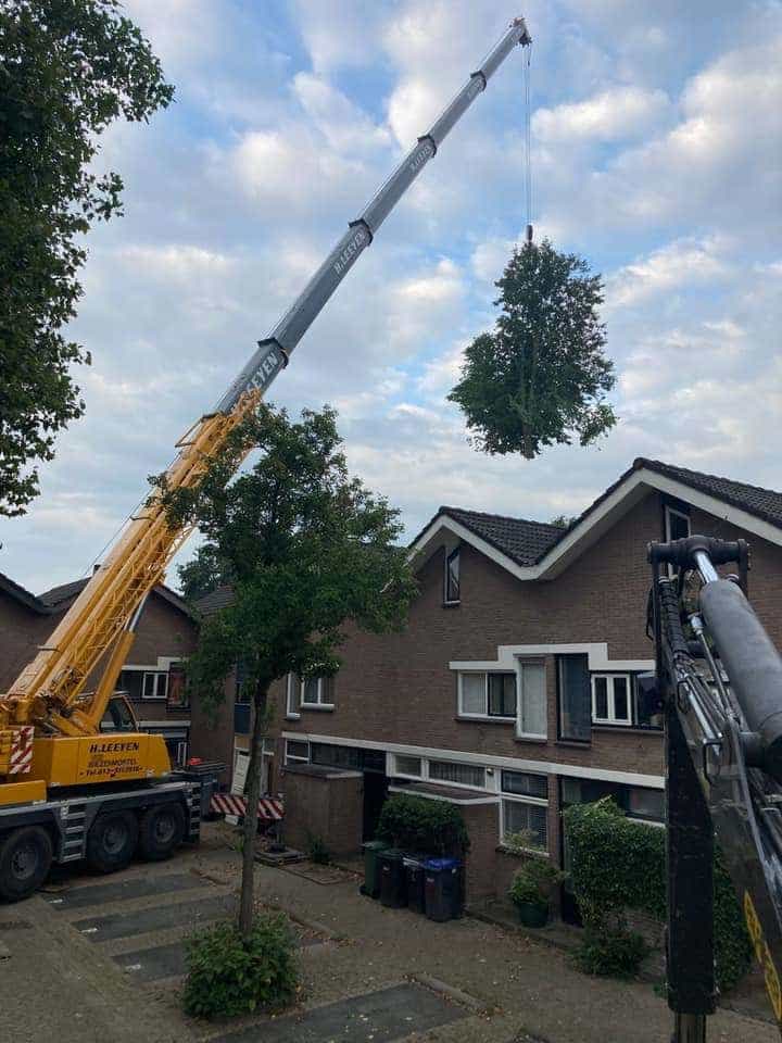 0000nieuws/2020/9-18-bomen-rooien-nieuwegein/nieuwegein-verwijderen-van-bomen-welke-hoveniers-bedrijf-kap-bomen-utrecht1
