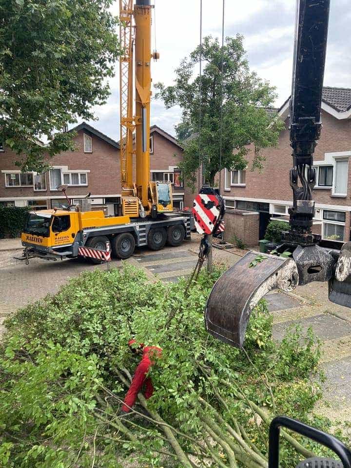 0000nieuws/2020/9-18-bomen-rooien-nieuwegein/nieuwegein-verwijderen-van-bomen-welke-hoveniers-bedrijf-kap-bomen-utrecht5