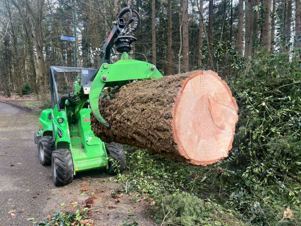 0000nieuws/2024/knegsel/verwijderen-bomen-eindhoven-stronken-weg-frezen-opruimen-bomen-in-achtertuin4