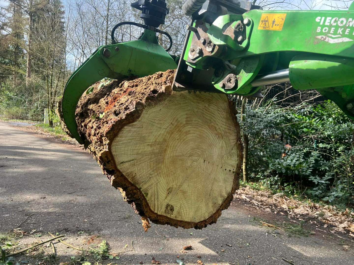 0000nieuws/2024/knegsel/verwijderen-bomen-eindhoven-stronken-weg-frezen-opruimen-bomen-in-achtertuin5
