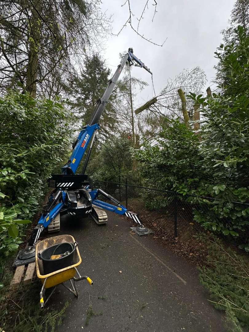 0000nieuws/2024/knegsel/verwijderen-bomen-eindhoven-stronken-weg-frezen-opruimen-bomen-in-achtertuin6