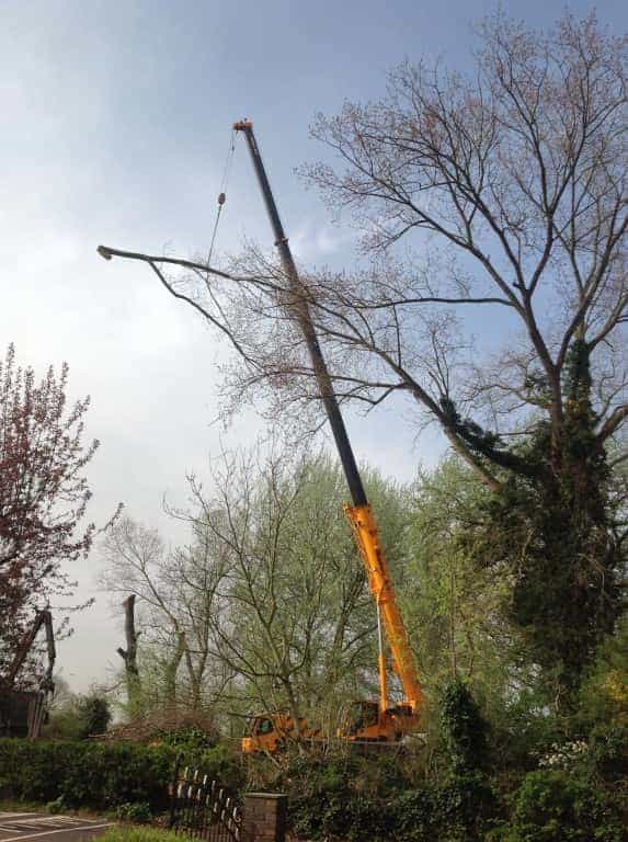 001a-breda/boom-rooien-goes.JPG