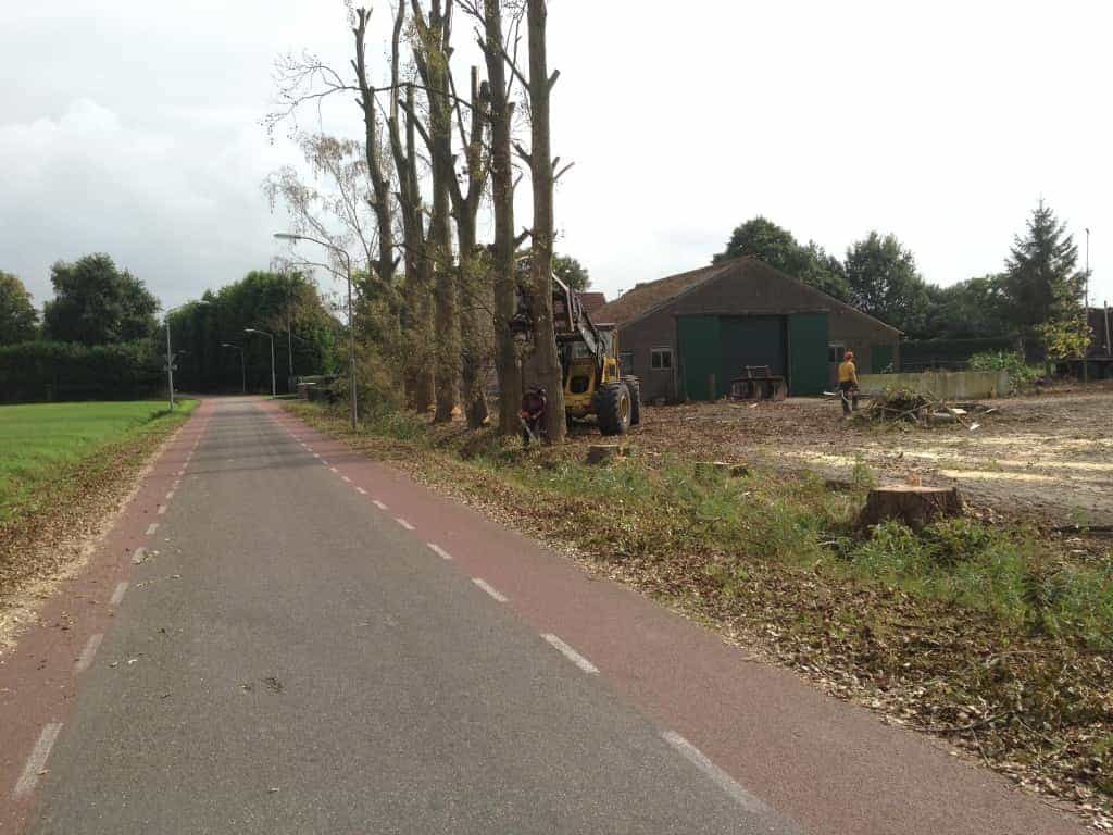 002tilburgronald/bomen-rooien-steenbergen-060.JPG