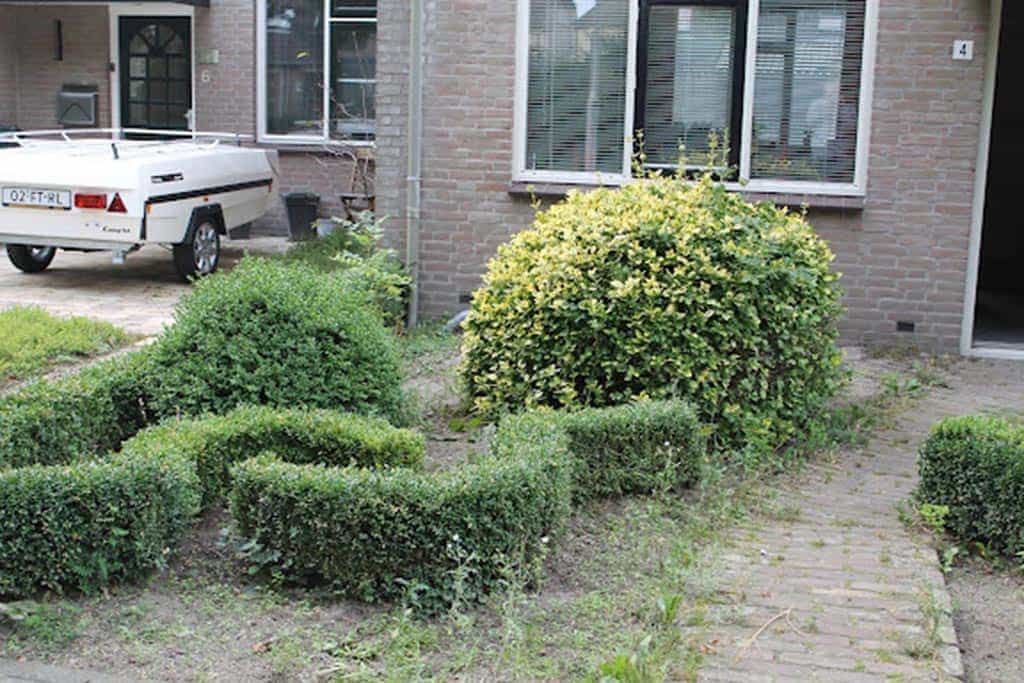 003dongen/2 de oude tuin opruimen en verwijderen voortuin