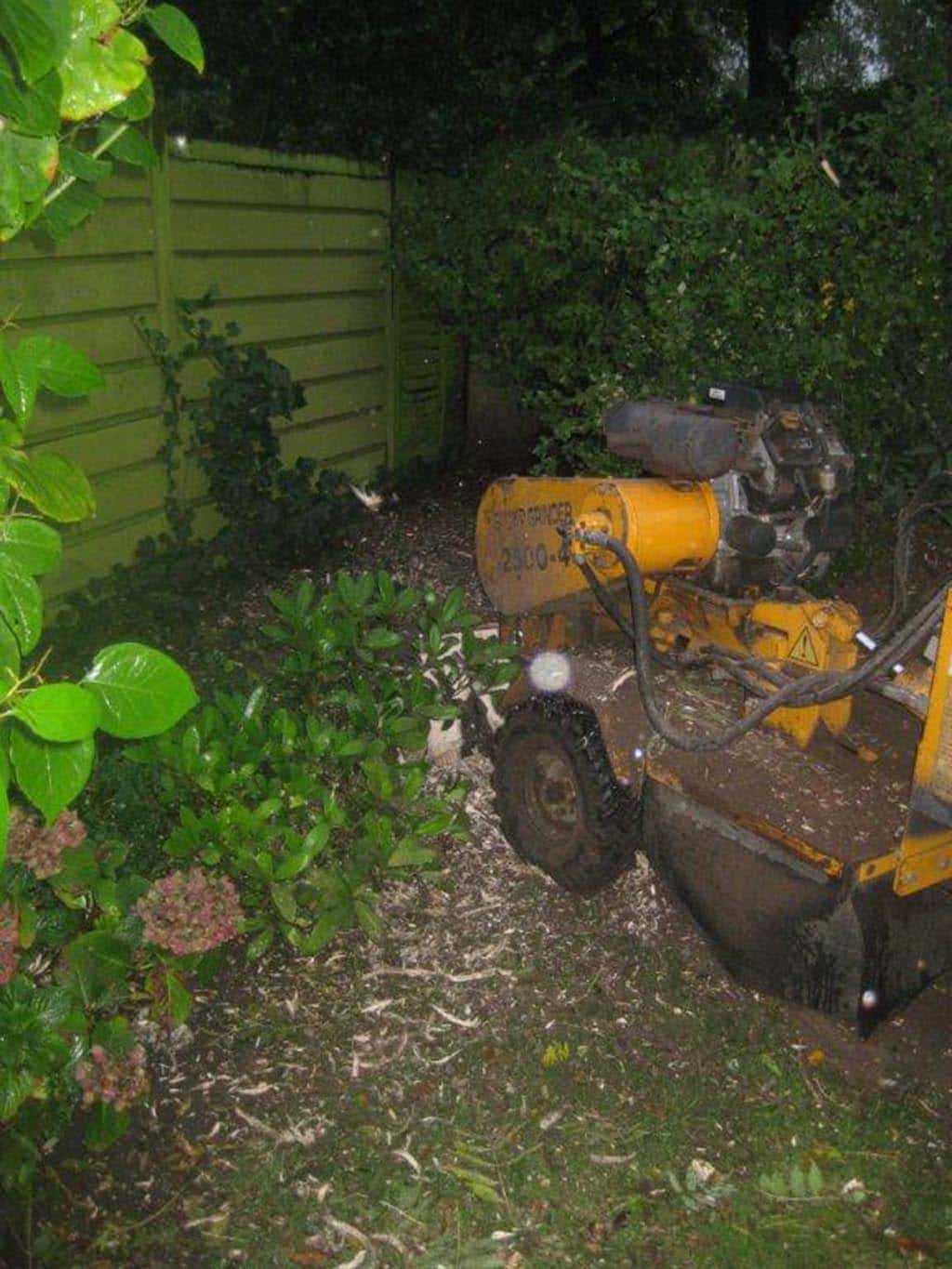 005 bomen rooien schindel/boomstronk uitfrrezen oisterwijk