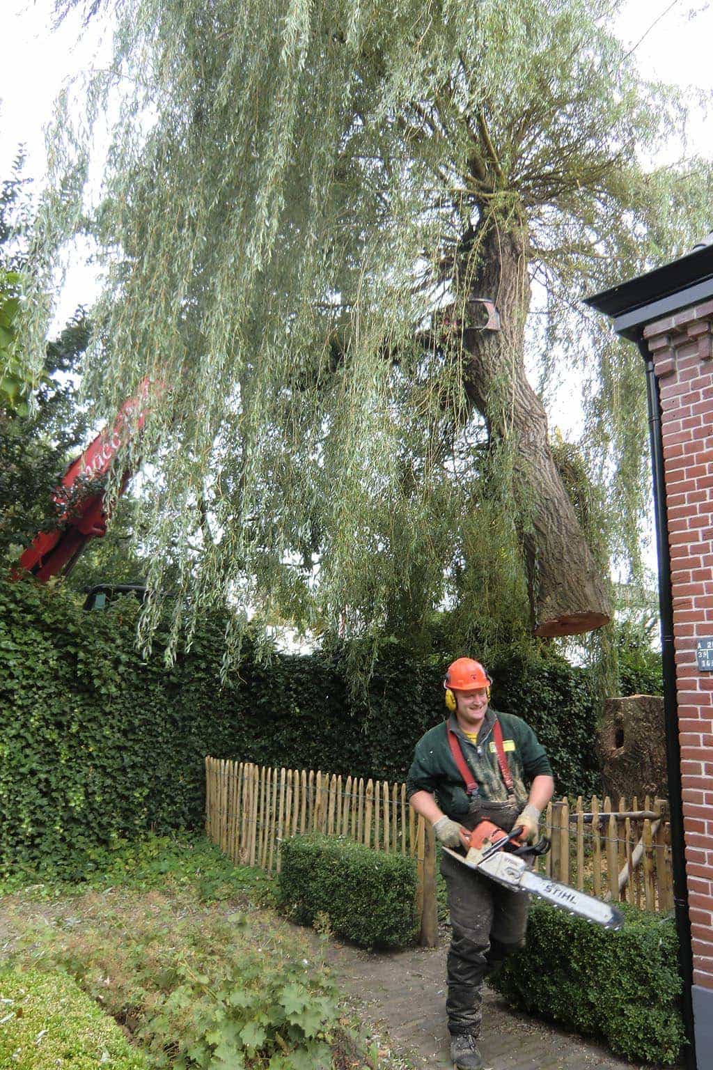 005loon op zand/kosten bomen rooien Eindhoven(1).JPG
