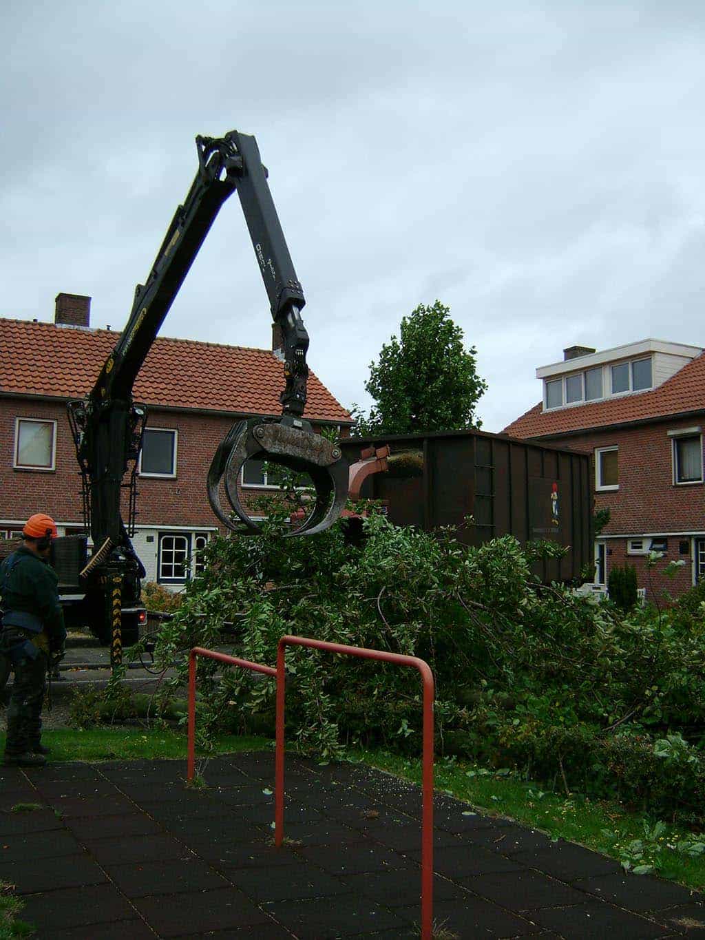 008 best boom rooien/5 bomen rooien bomen versniperen bomen kappen bomen vellen Kessel Klef Klein Dongen Zundert Klunderrt.JPG
